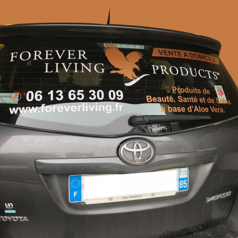forever2